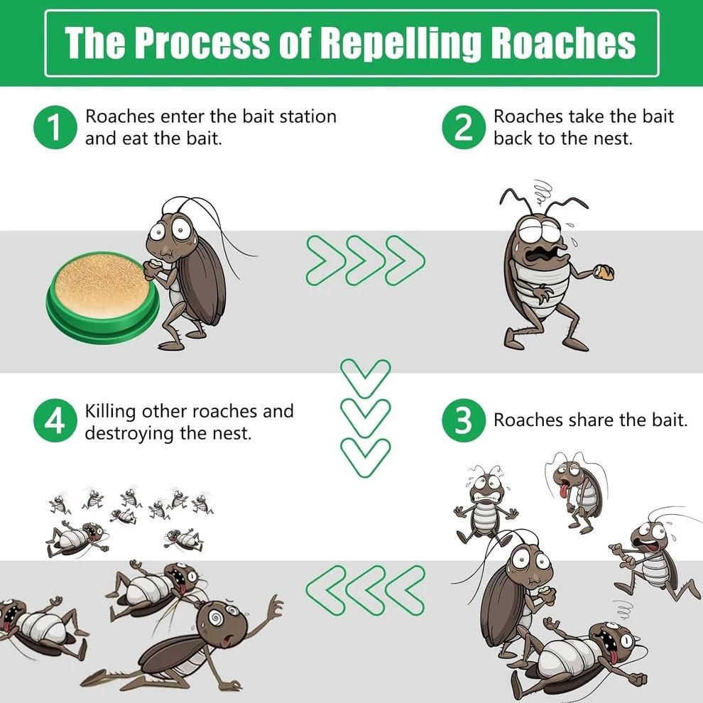 Cockroach Killer Gel (Buy 1 Get 1 )