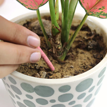 Organic Plant Growth Sticks - 30 Day Slow Release Fertilizer for Indoor & Outdoor Plants