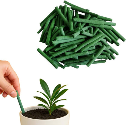 Organic Plant Growth Sticks - 30 Day Slow Release Fertilizer for Indoor & Outdoor Plants