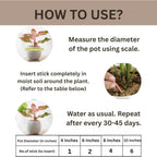 Organic Plant Growth Sticks - 30 Day Slow Release Fertilizer for Indoor & Outdoor Plants