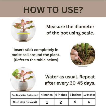 Organic Plant Growth Sticks - 30 Day Slow Release Fertilizer for Indoor & Outdoor Plants