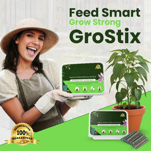 Organic Plant Growth Sticks - 30 Day Slow Release Fertilizer for Indoor & Outdoor Plants
